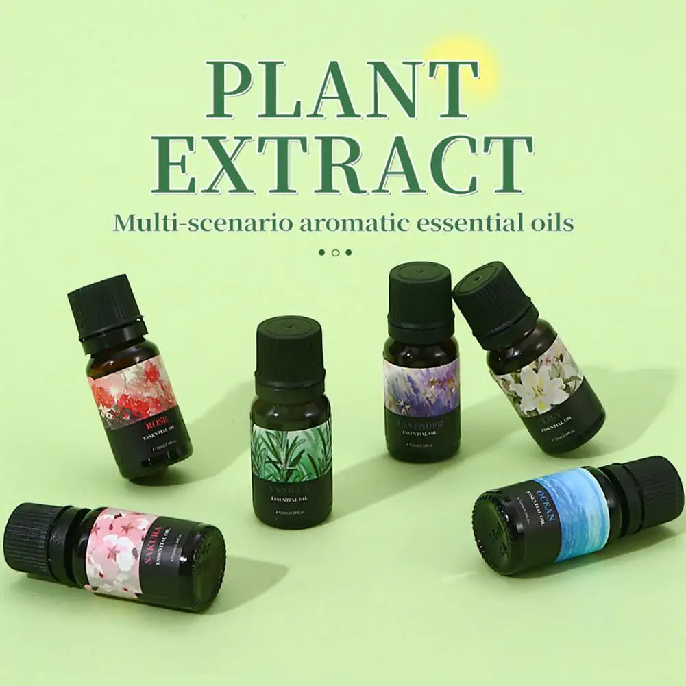 15 Scents Water Soluble Fragrance Oils - 10ml Aromatherapy Oil for Diffuser, Room Deodorizer, Air Freshener, Home & Car