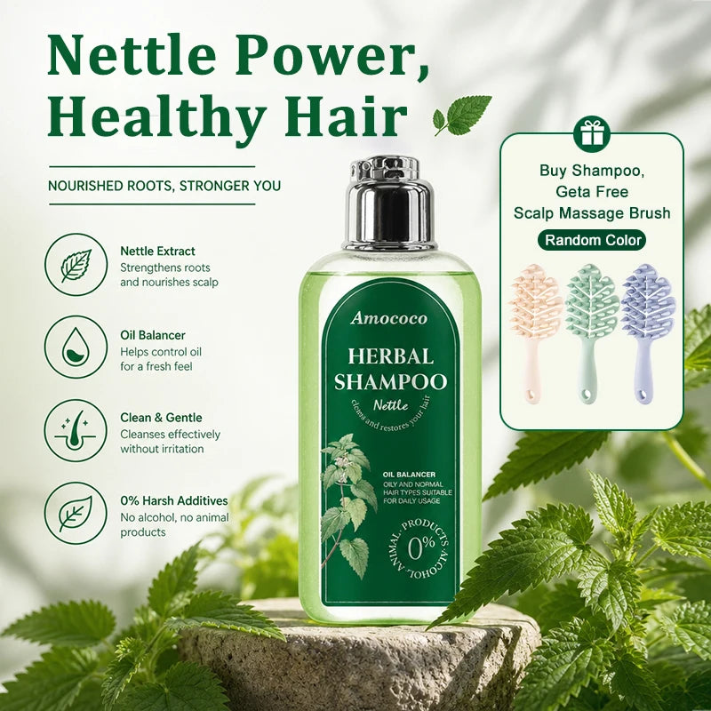 Amococo 3pcs Nettle Shampoo 220ml Each Oil Balancing Daily Hair Cleanser for Oily Normal Hair Purifying Scalp Care Gentle Formula