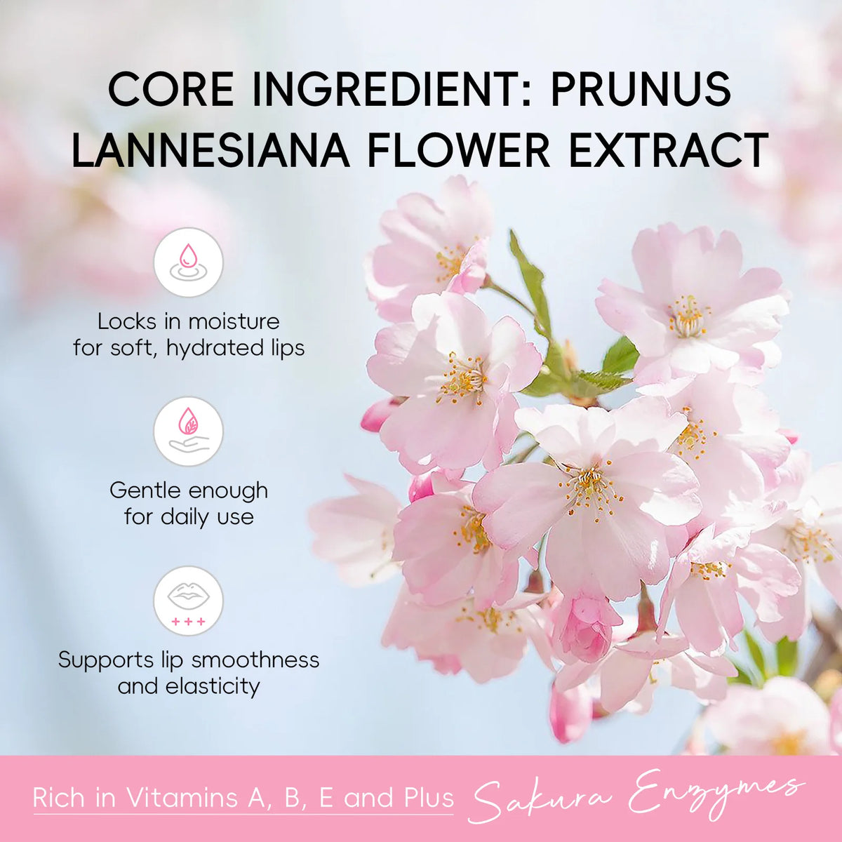 1/2/3pcs BIOAQUA Sakura Lipstick Cherry Blossom Moisturizing Lip Balm Nourishing Brightening Hydrating Lips Skin Care