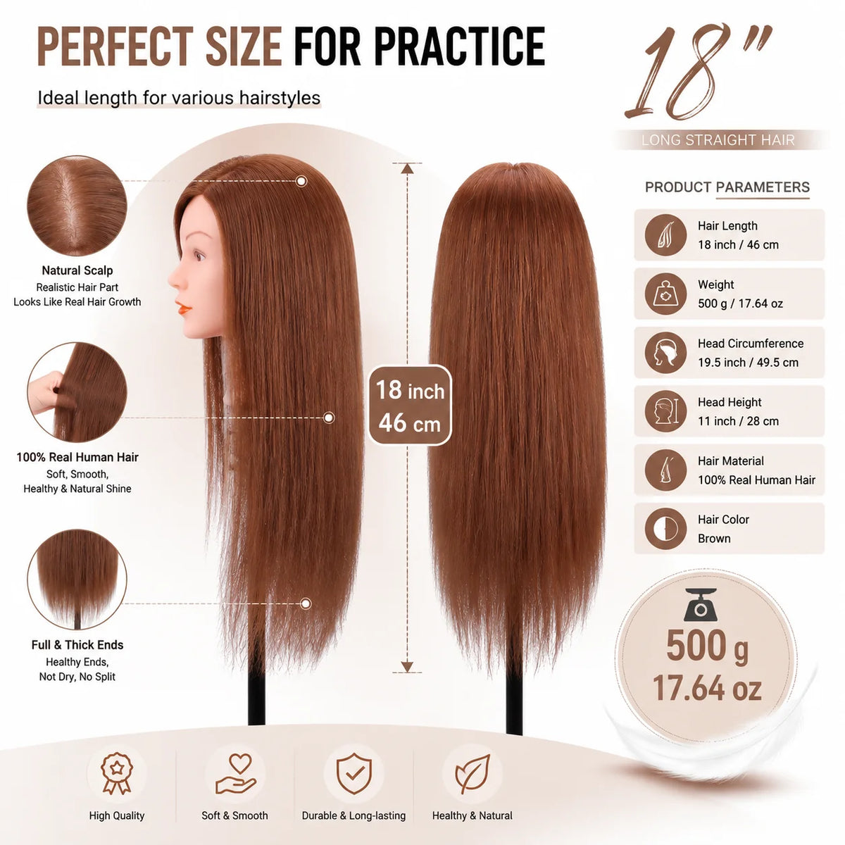 Mannequin Head with 100% Human Hair, TopDirect Real Hair Cosmetology Styling Hairdressing Practice Training Doll Head with Clamp